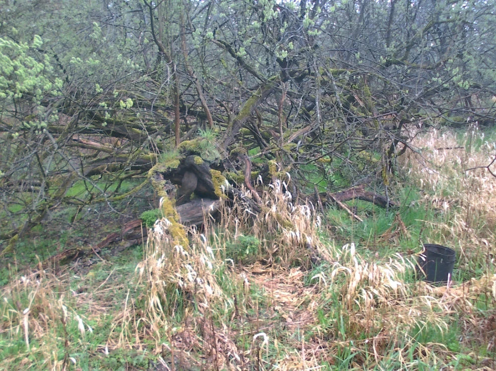 Bild hochgeladen von 𝔊𝔩𝔢𝔫