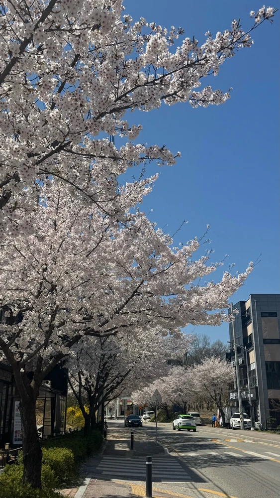 GIF uploaded by cy