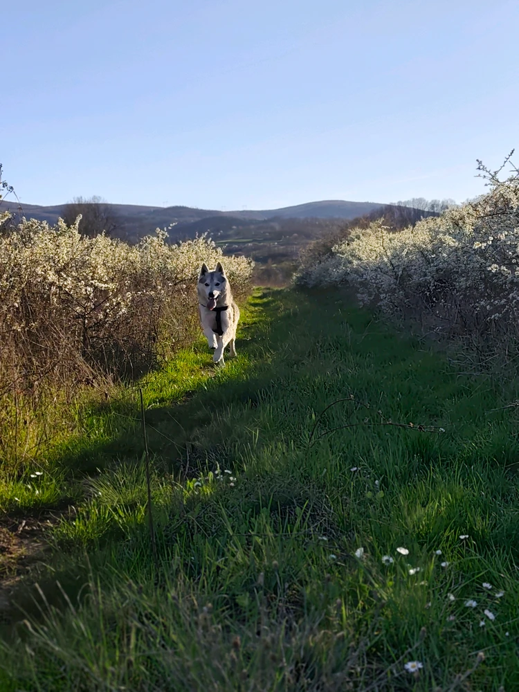 GIF uploaded by Danijel