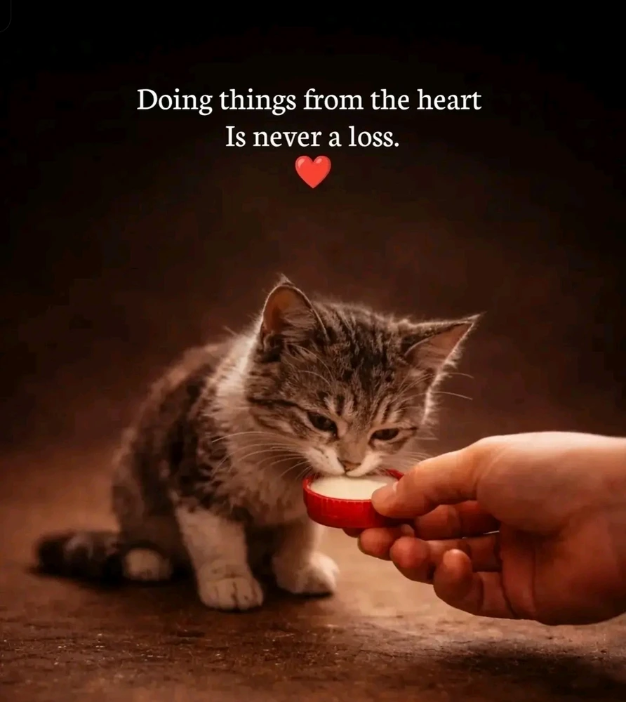 GIF uploaded by Maggie