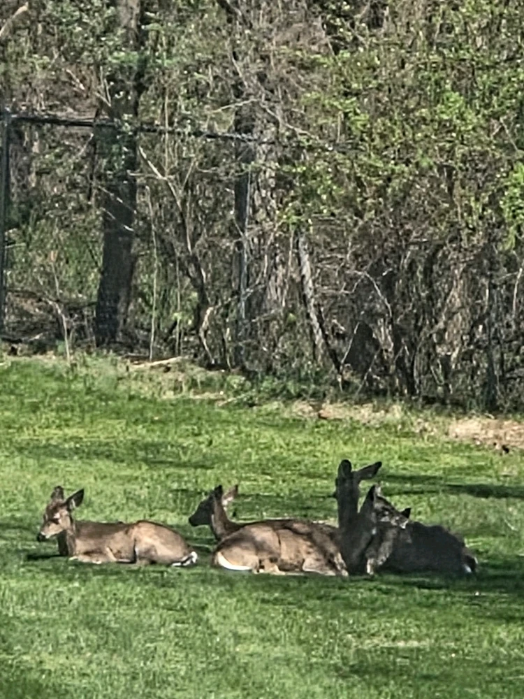 GIF uploaded by Posly