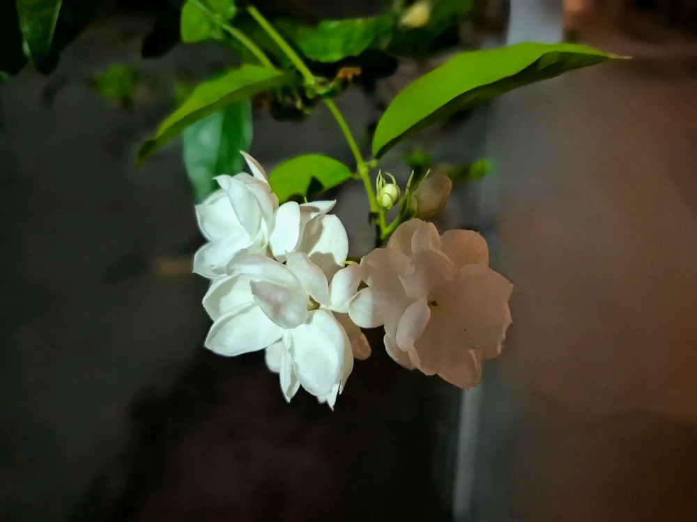 GIF uploaded by Edo