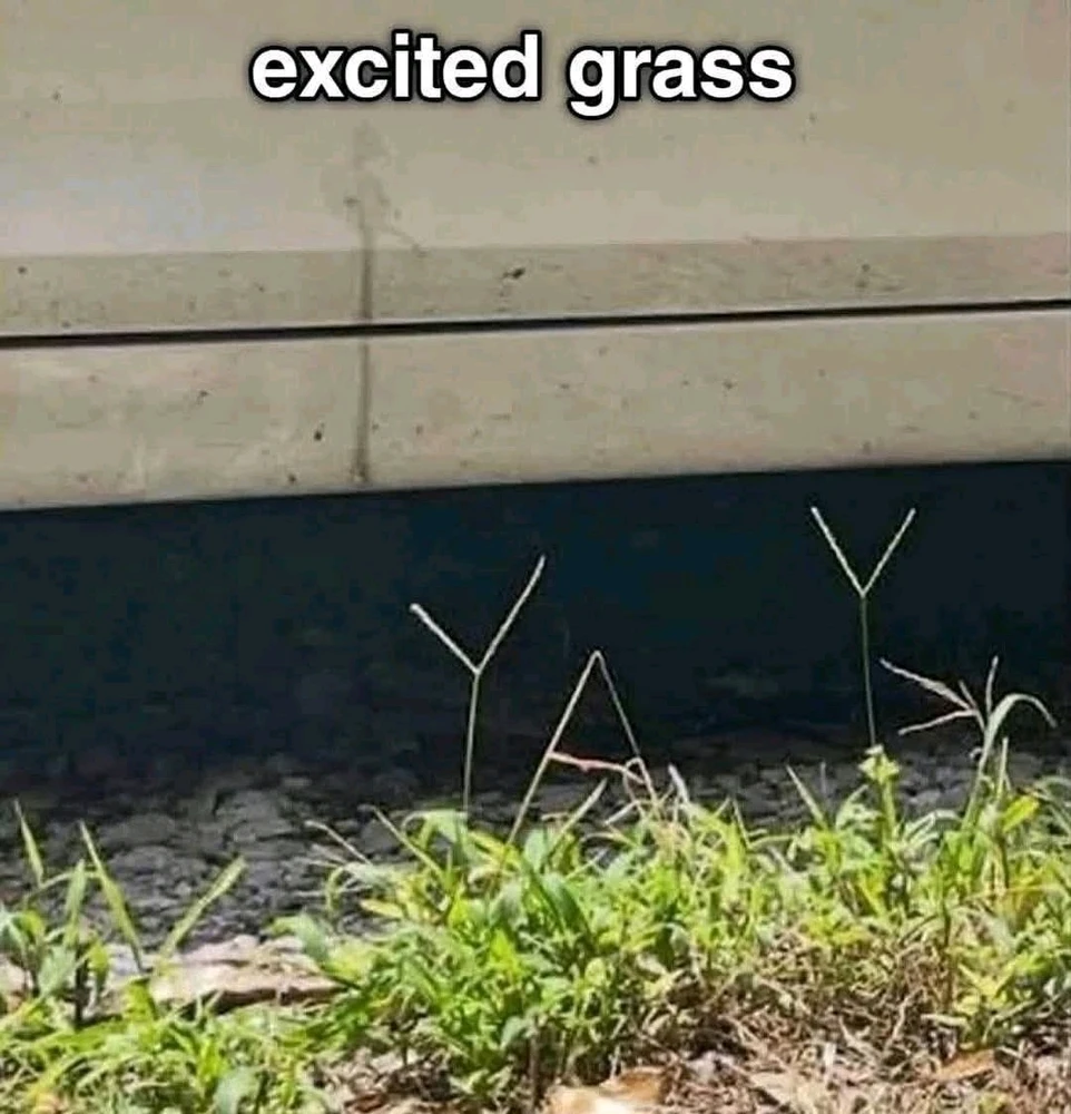 GIF uploaded by Melanie