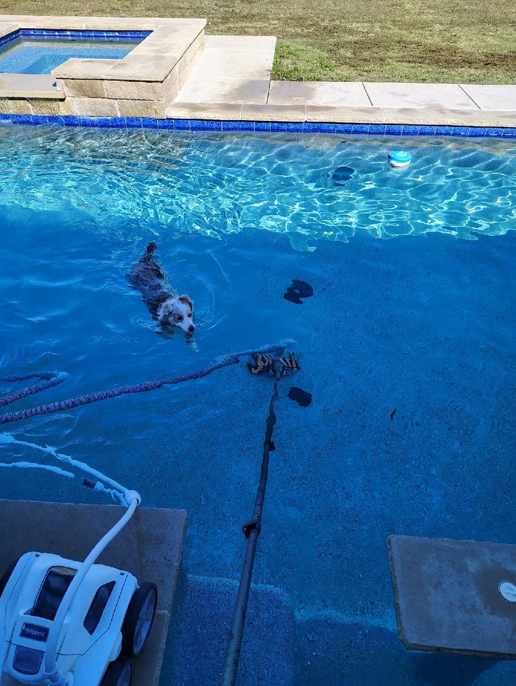 GIF uploaded by Jerry