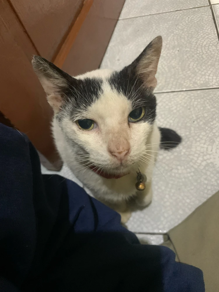 Gambar diunggah oleh Fikar