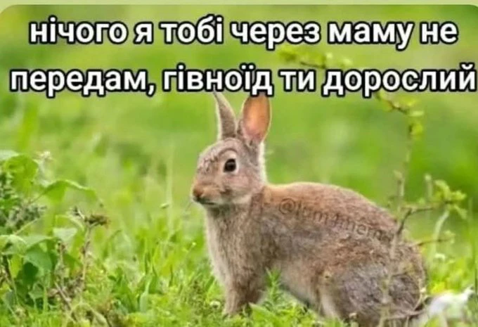 Гіфку завантажив Artem