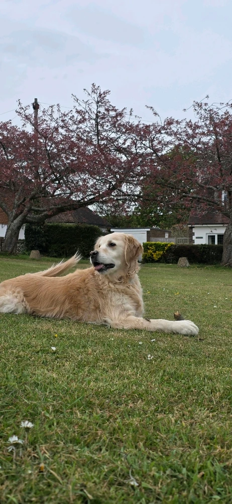 GIF uploaded by Marley