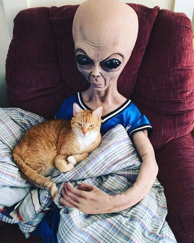 Гіфку завантажив Natalia🦇