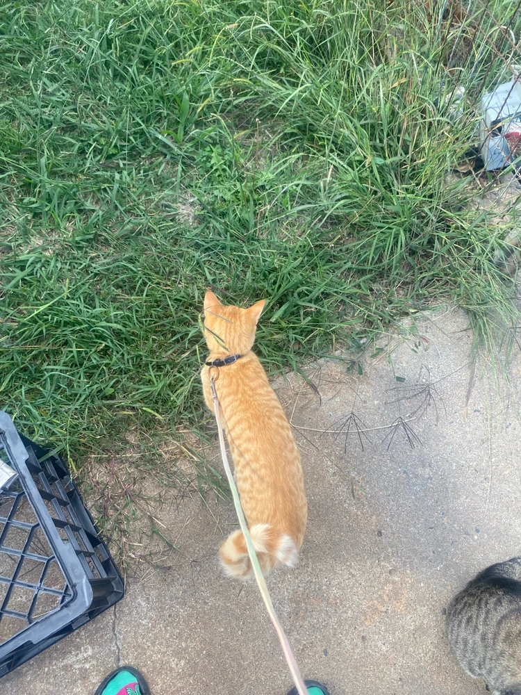 Image uploaded by Barry