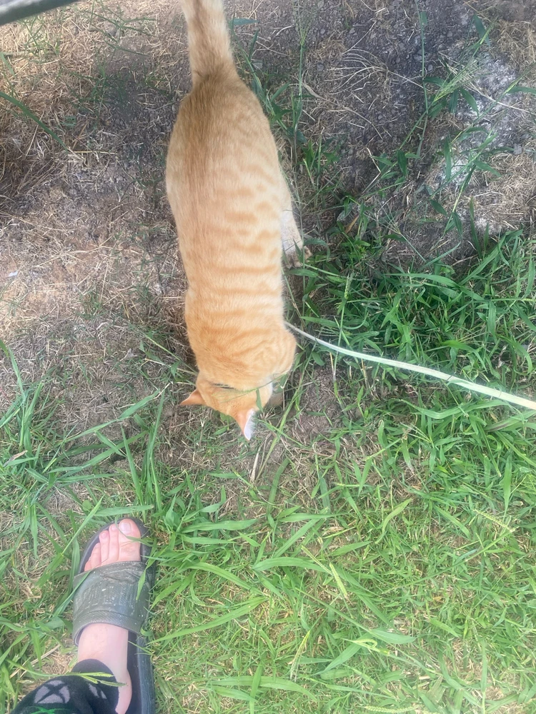 Image uploaded by Barry