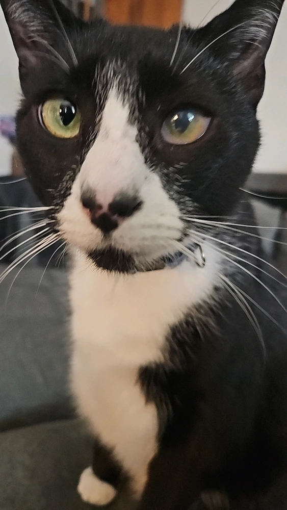 GIF uploaded by Alex