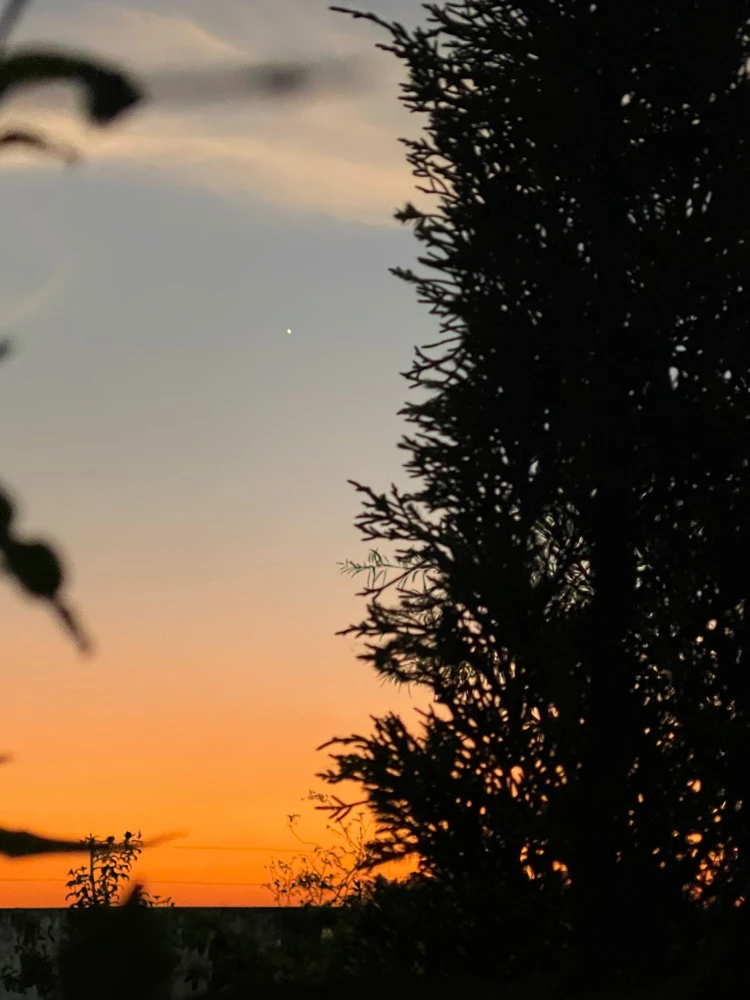 GIF uploaded by Kluay