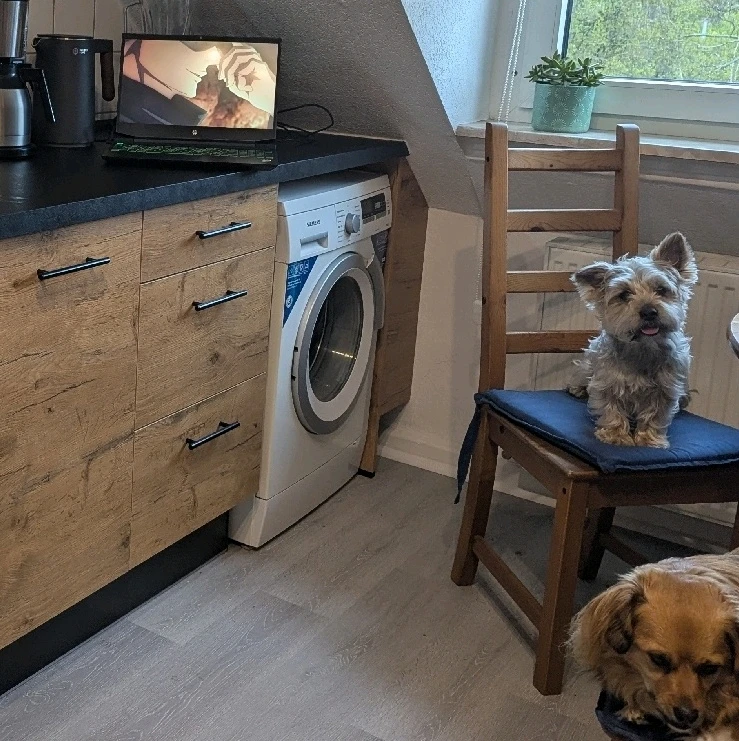 GIF hochgeladen von Dennis