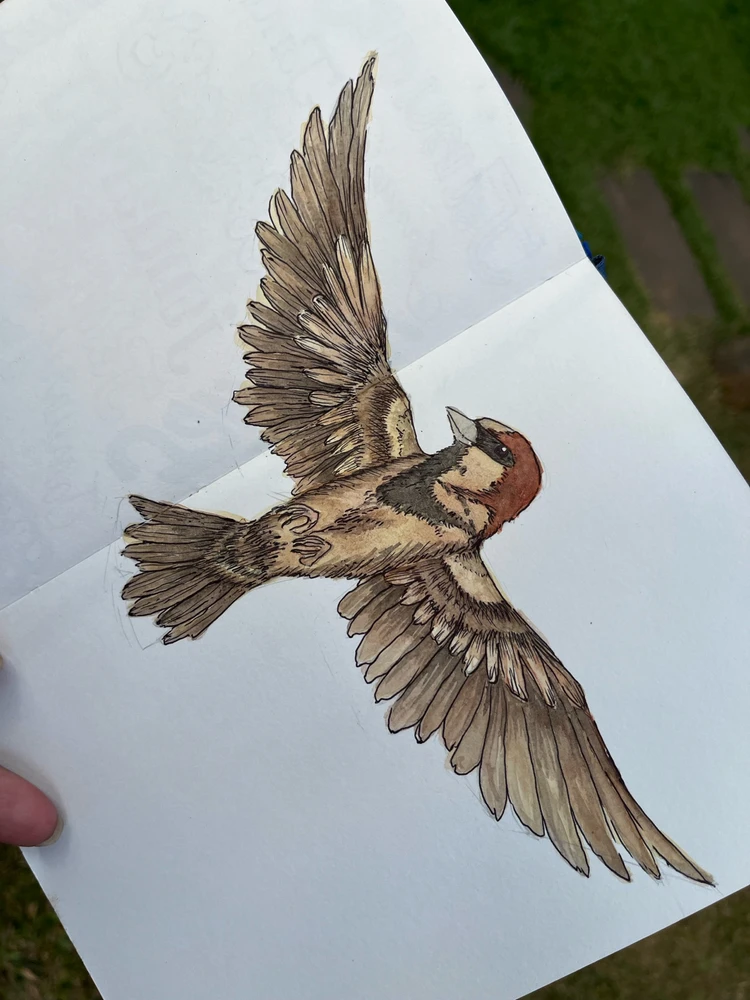 GIF uploaded by Sourab
