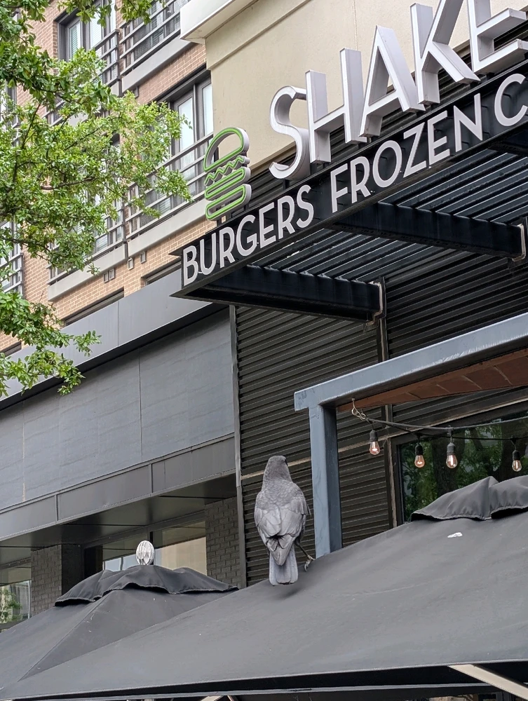 Image uploaded by Raven