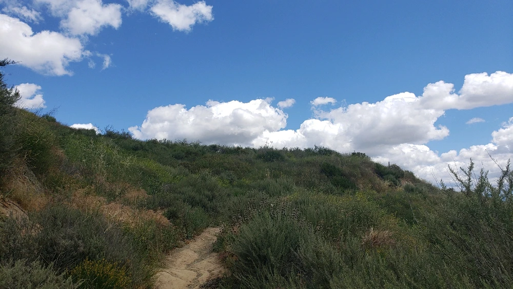 Image uploaded by laila♡