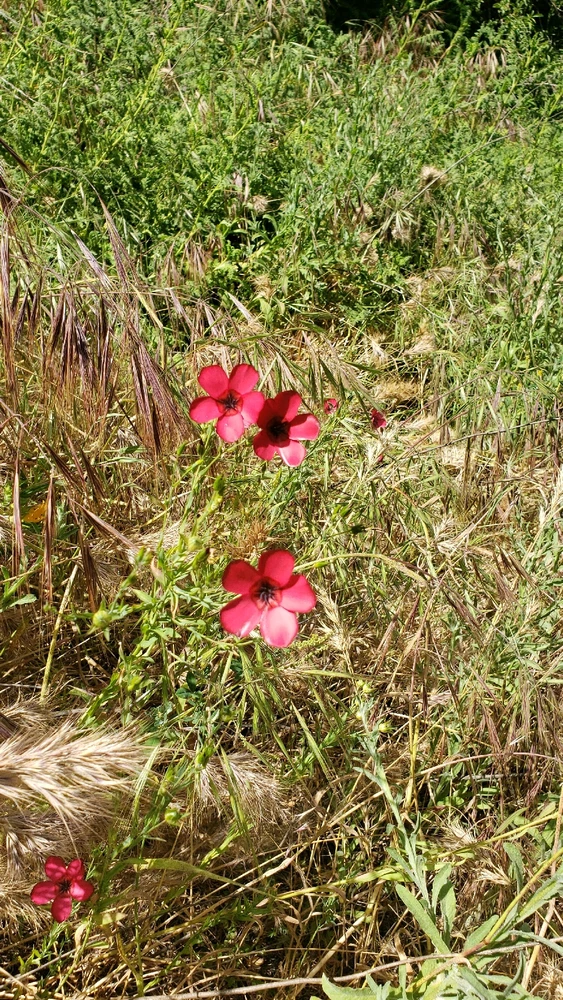 Image uploaded by laila♡