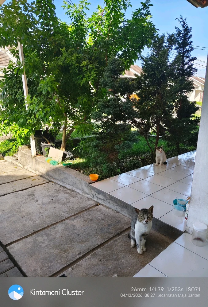 GIF uploaded by asu dahlah