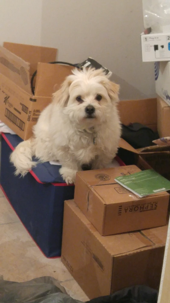 GIF uploaded by Prescott Nogosek