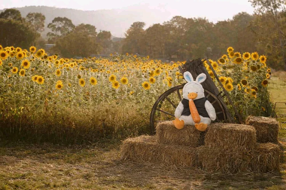 GIF uploaded by DandelionDream