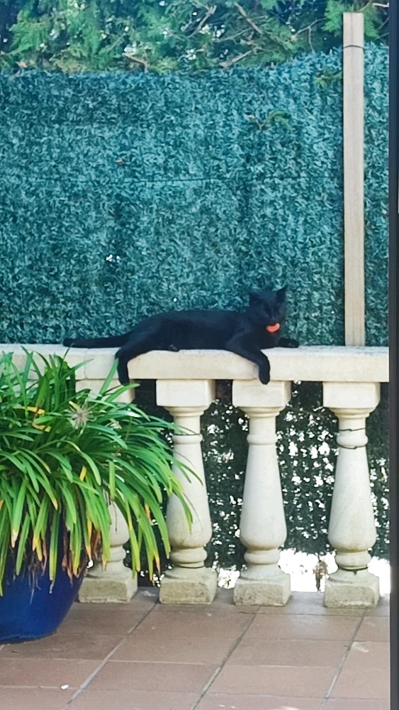 GIF uploaded by Mauricio