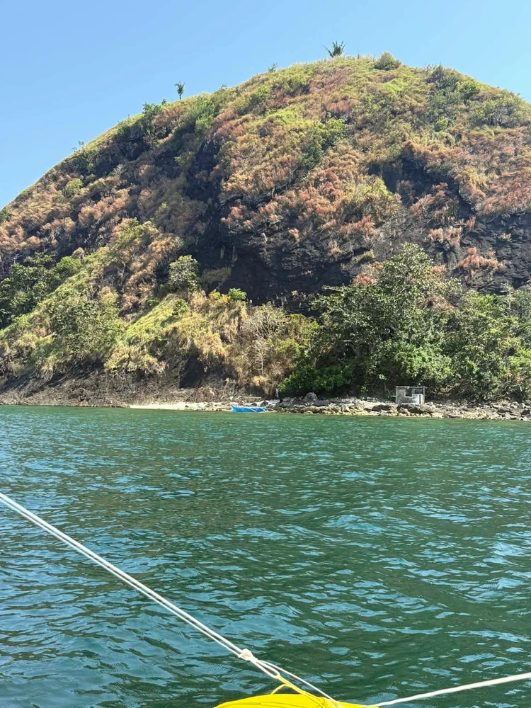 Image uploaded by Janey