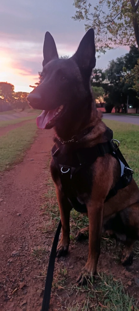 GIF uploaded by Merené