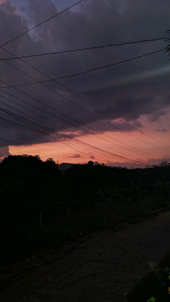 GIF uploaded by jane