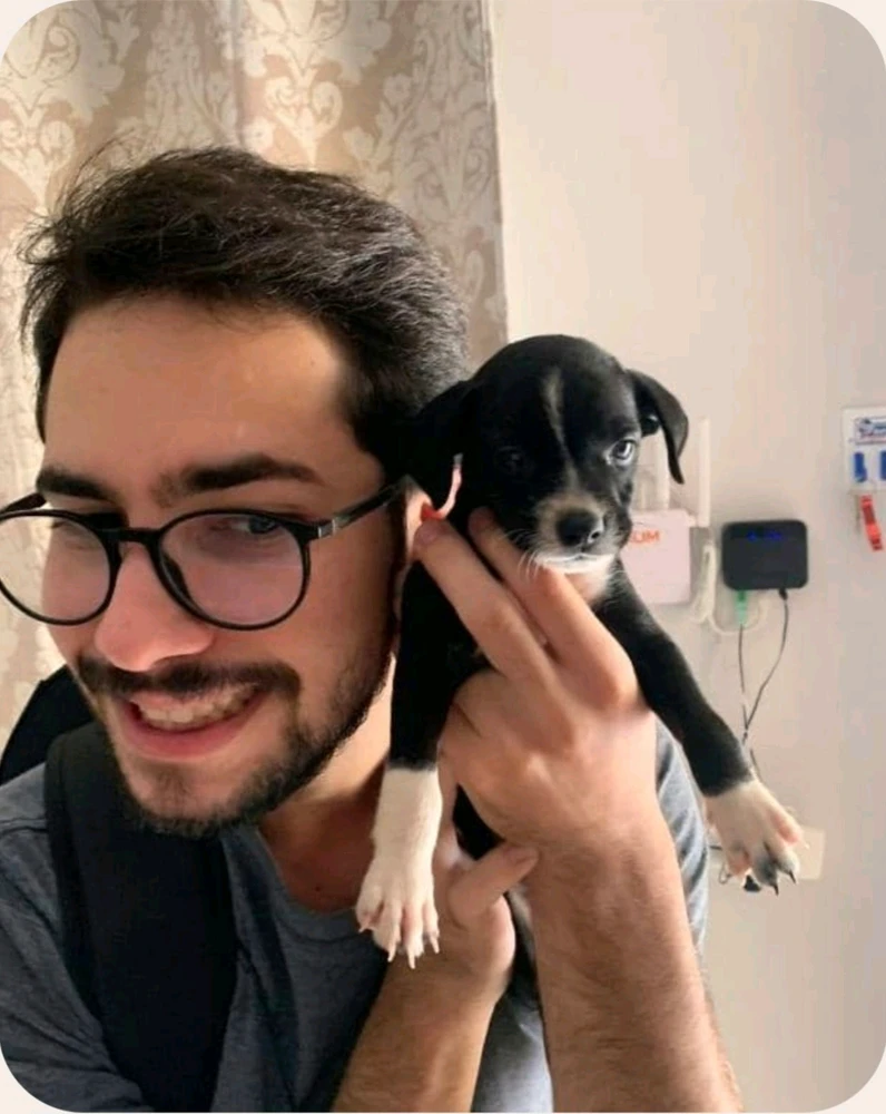 GIF enviado por Bruno Trevisan