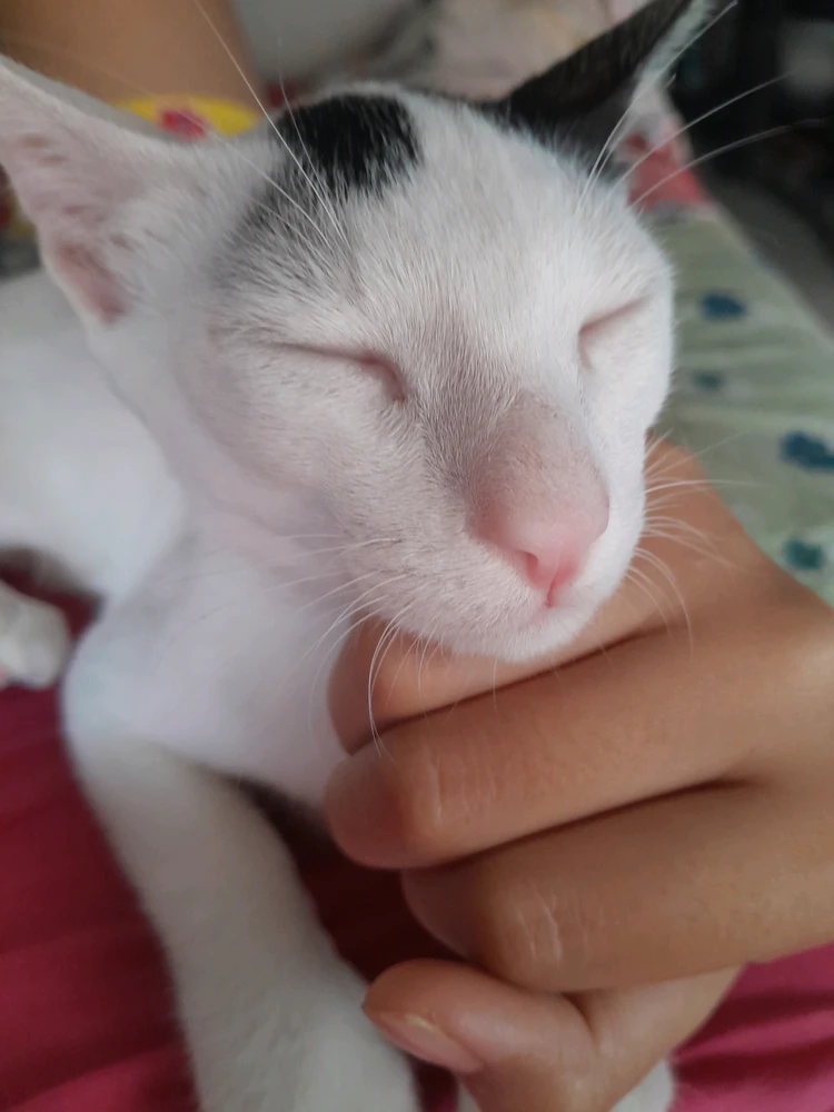 GIF uploaded by Ming