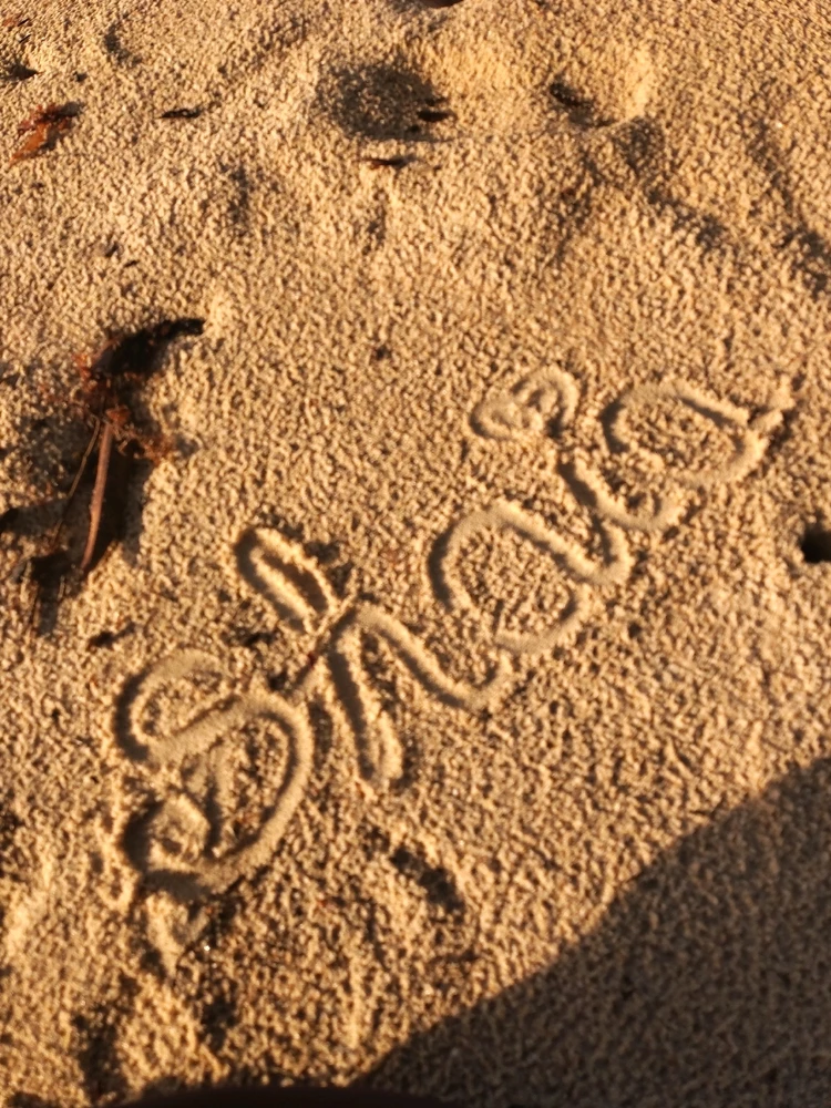 Imagem enviada por Shaia