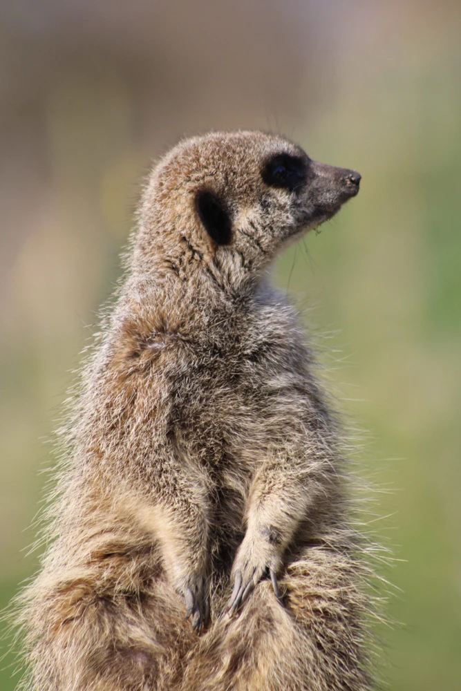 GIF uploaded by Daniel