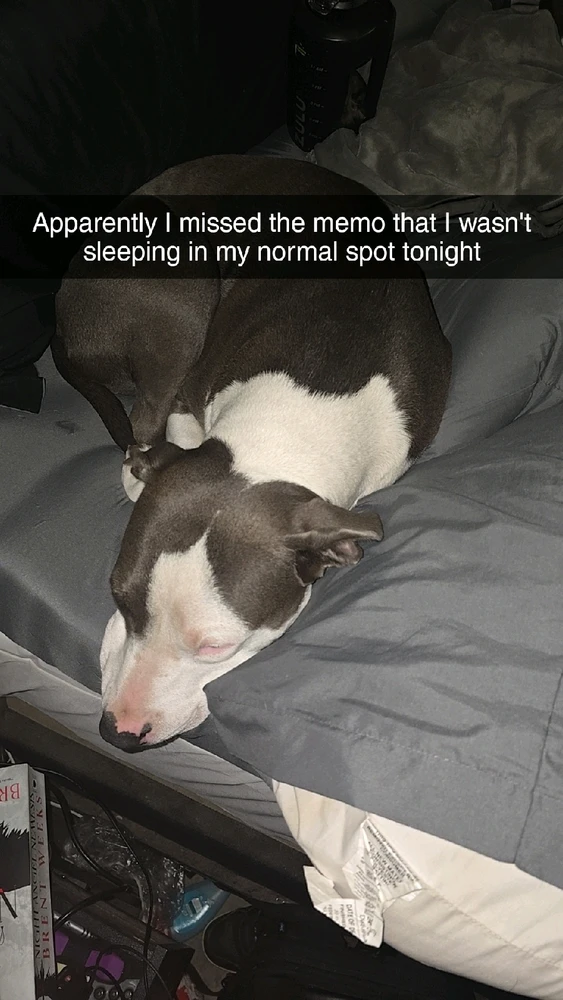 GIF uploaded by Gabbie