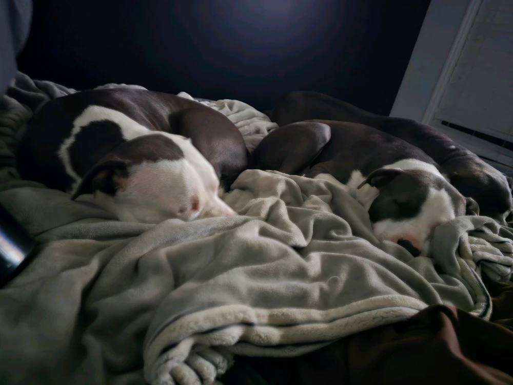 GIF uploaded by Gabbie