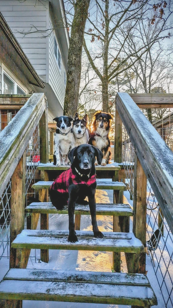 GIF uploaded by Regine