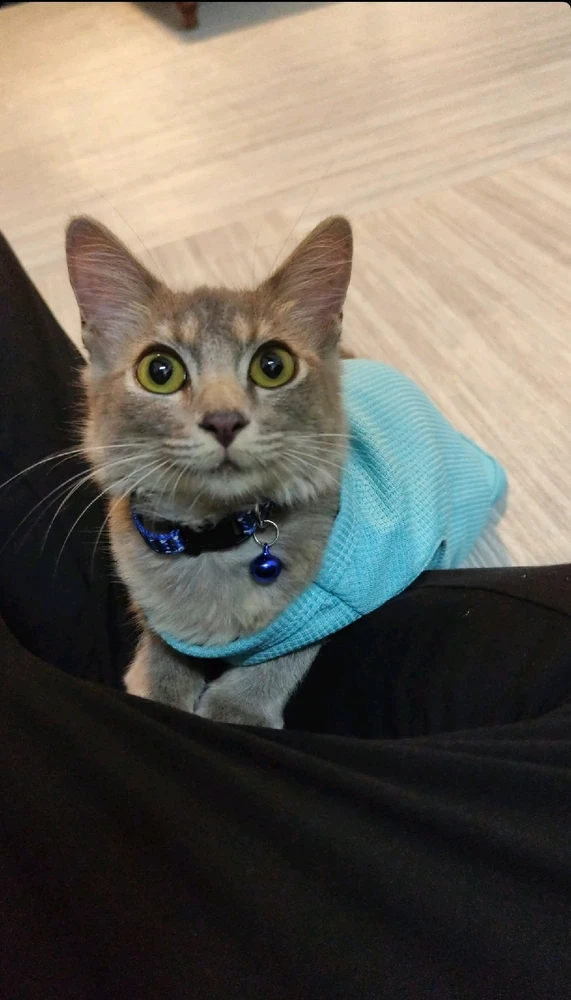 GIF uploaded by Kel