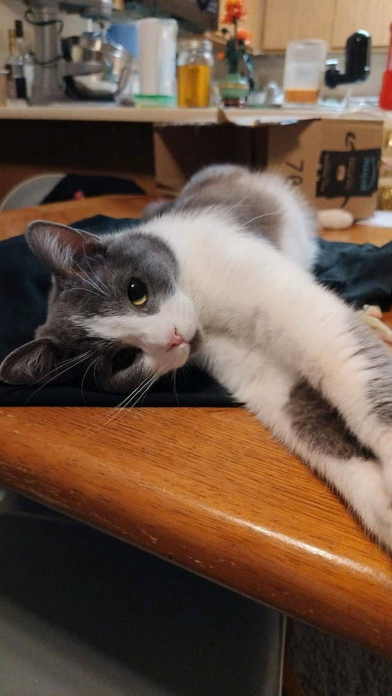 Image uploaded by Ruthann