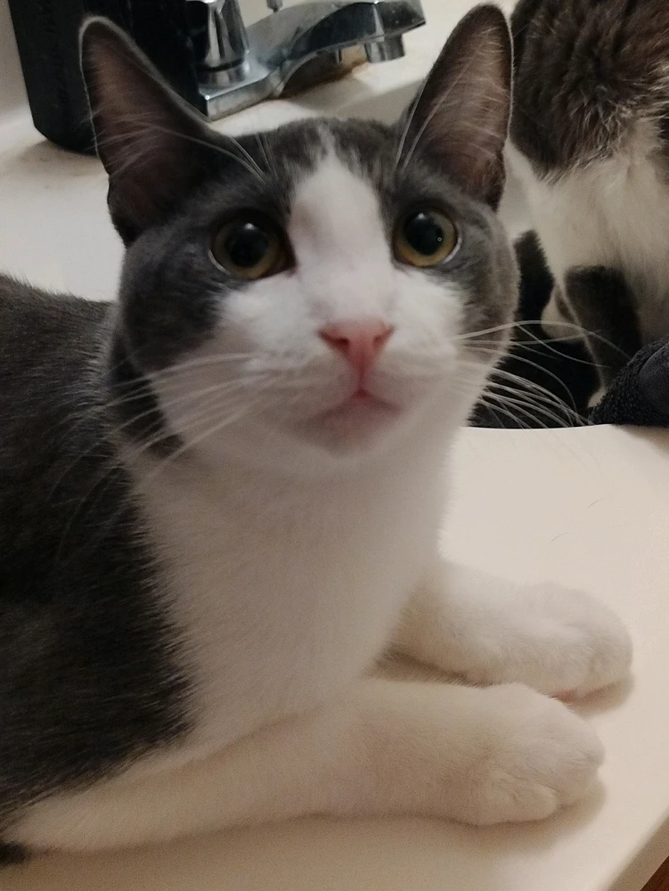 Image uploaded by Ruthann