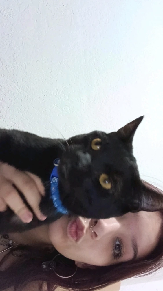 GIF subido por Mona