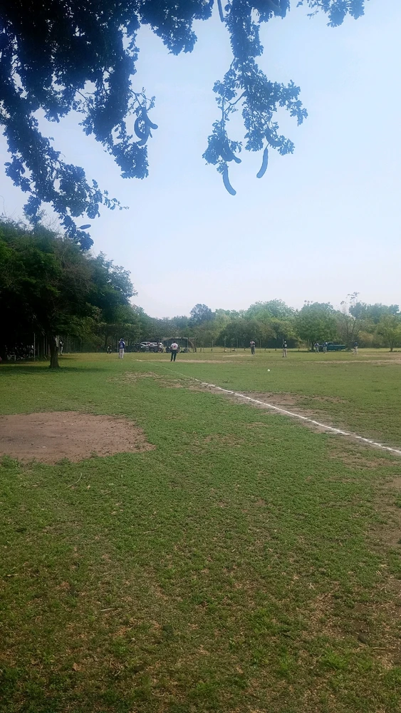 GIF subido por Julio