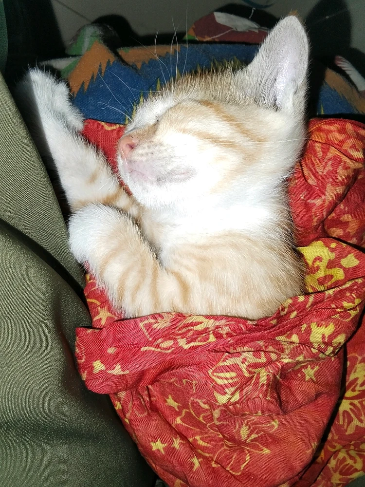 GIF uploaded by ItsMe