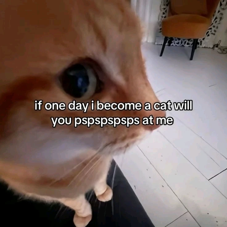 GIF hochgeladen von Lucy