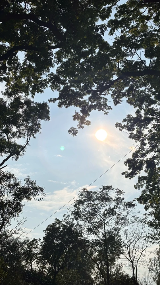 GIF uploaded by Tahmid