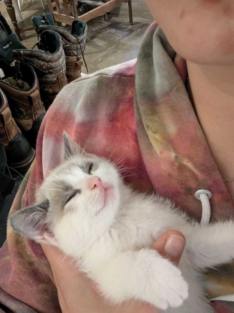 GIF uploaded by Steph