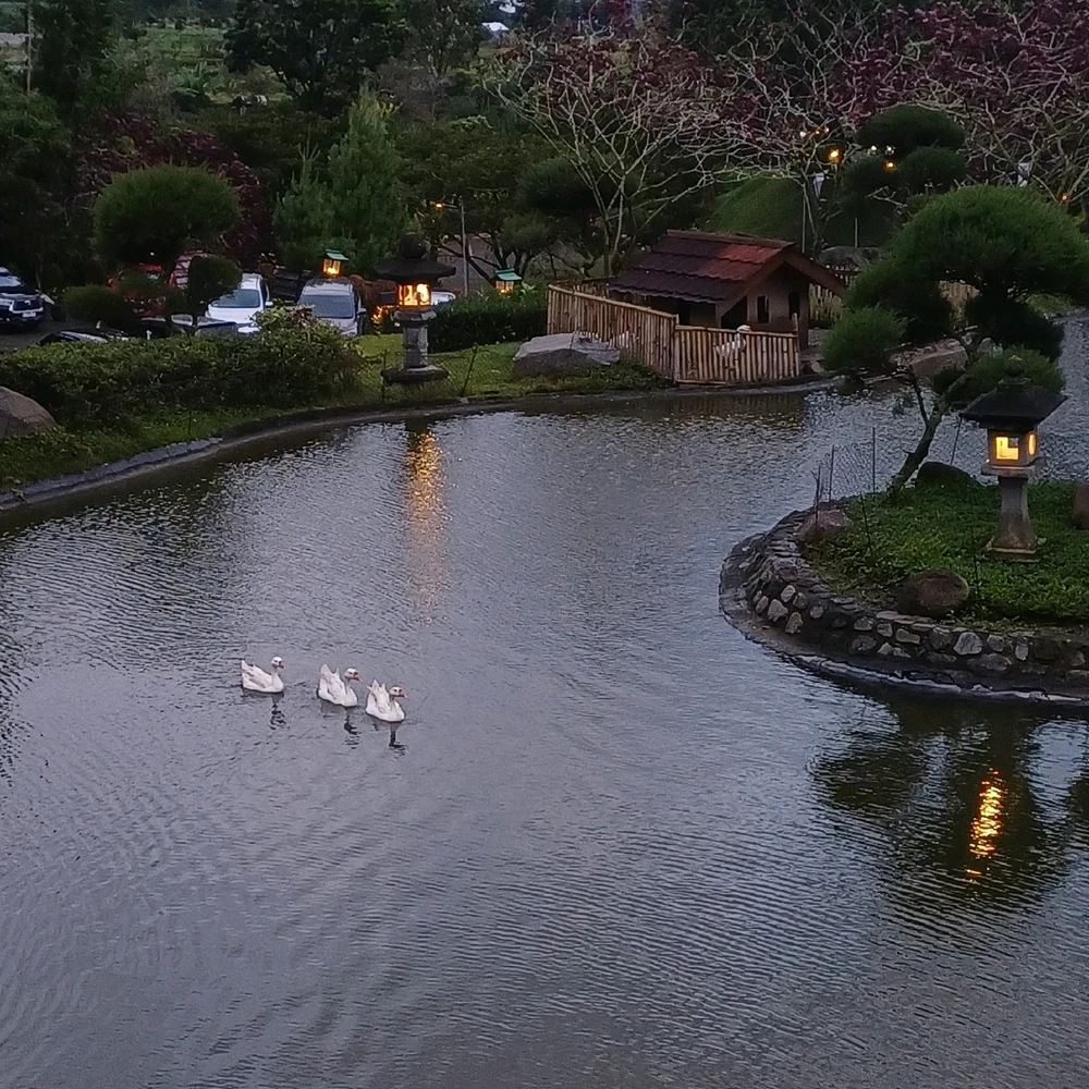 Image uploaded by Ghefira