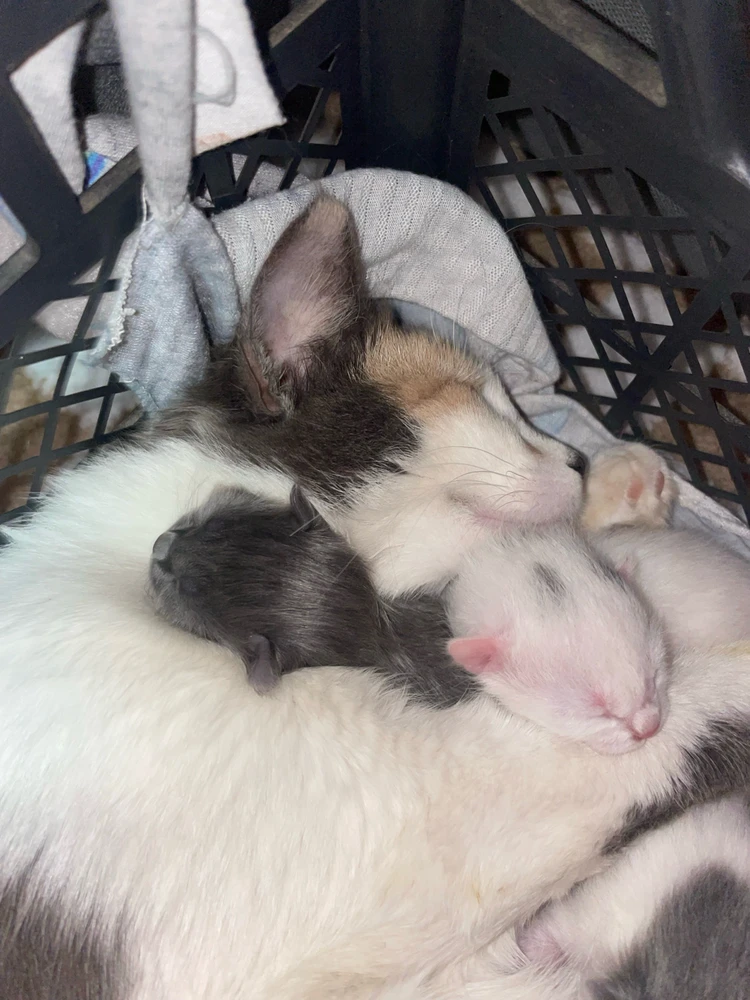 GIF uploaded by Lara