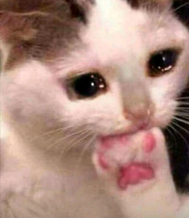 GIF uploaded by Carley