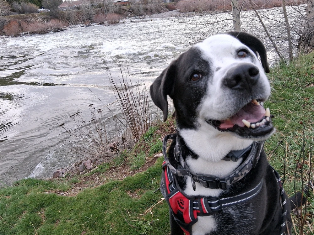 Khai at the river behind my place