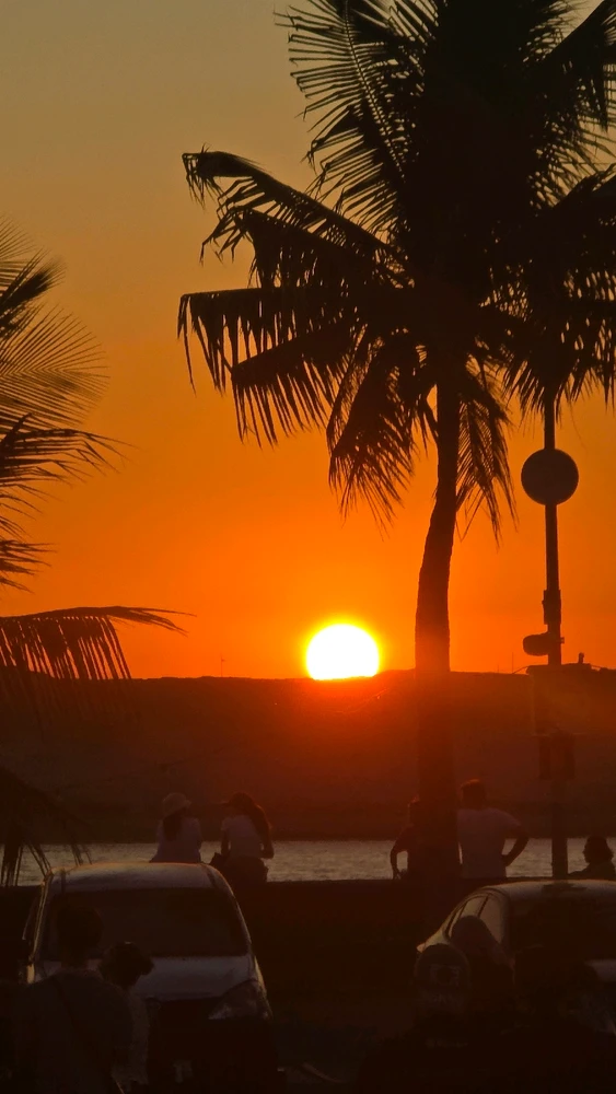 GIF uploaded by Lyra