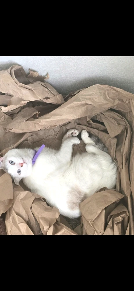 Image uploaded by Julio